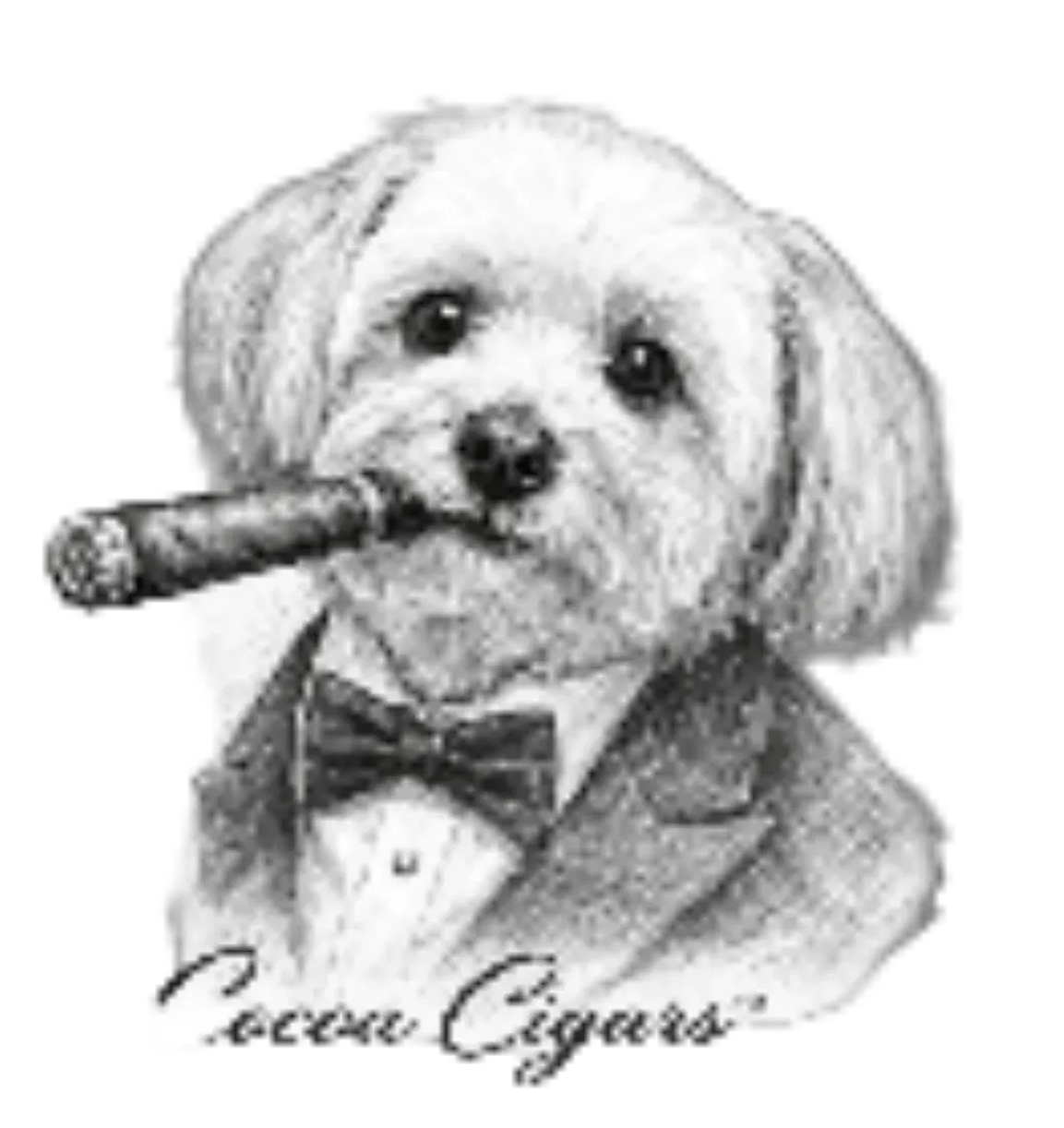 Cocoa Cigars Logo