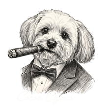 Cocoa Cigars logo