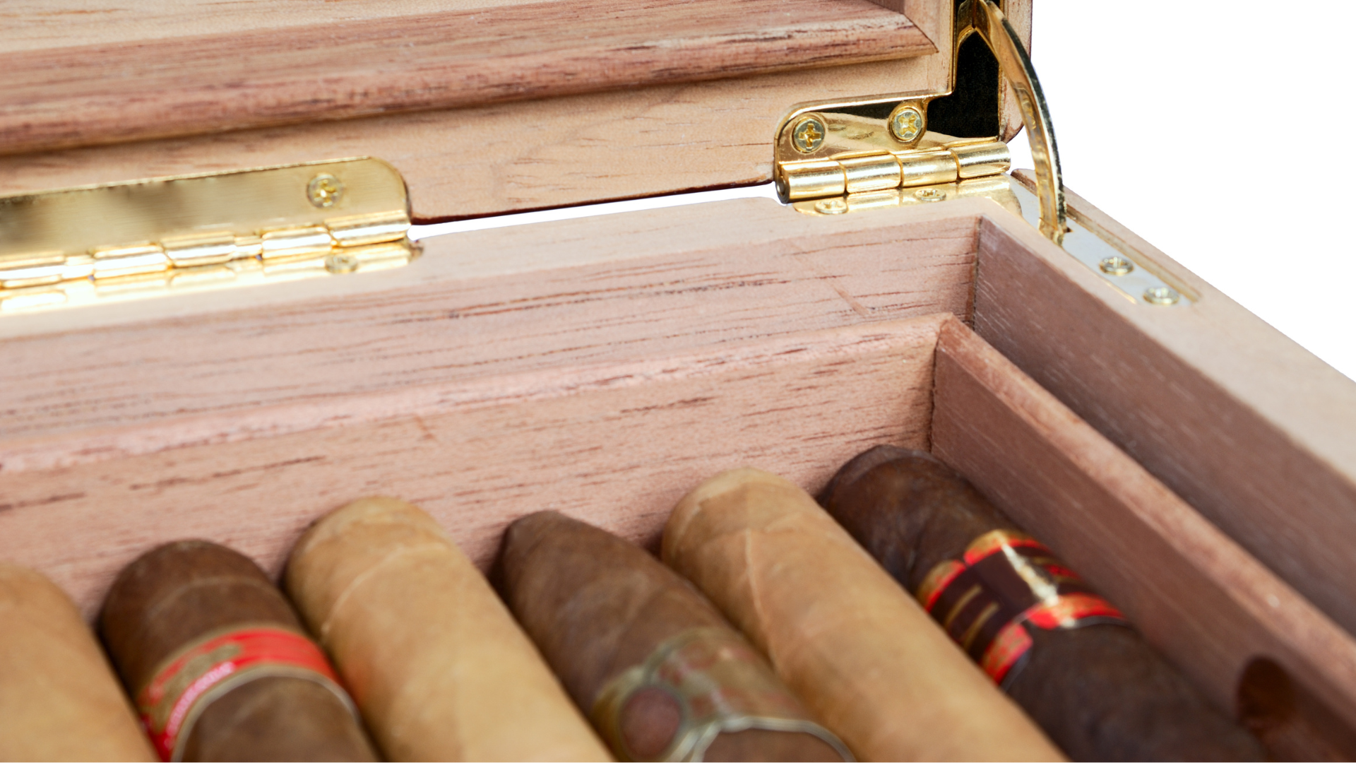 Connecticut wrapper and premium hand rolled cigars comparison
