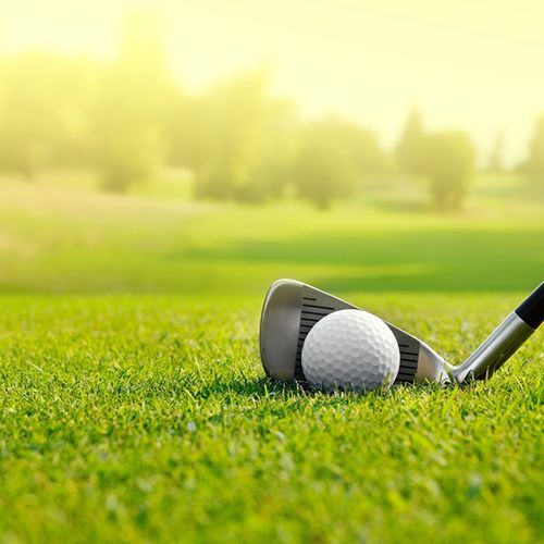 A golf club and ball are on the grass on a golf course.