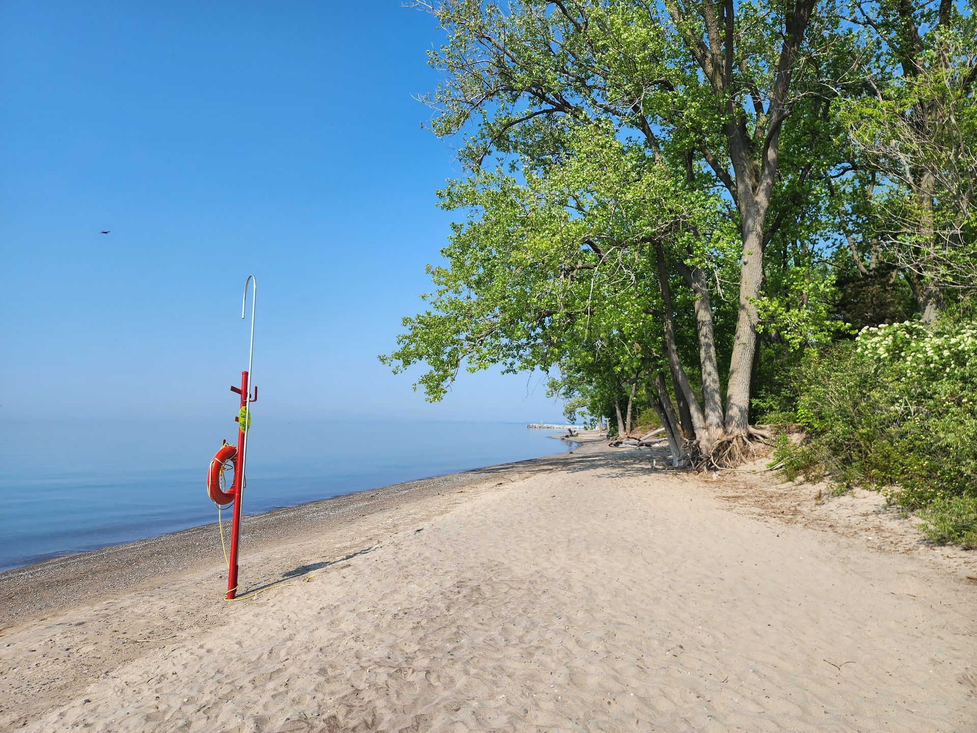 There is a red life preserver on the beach near the water.
