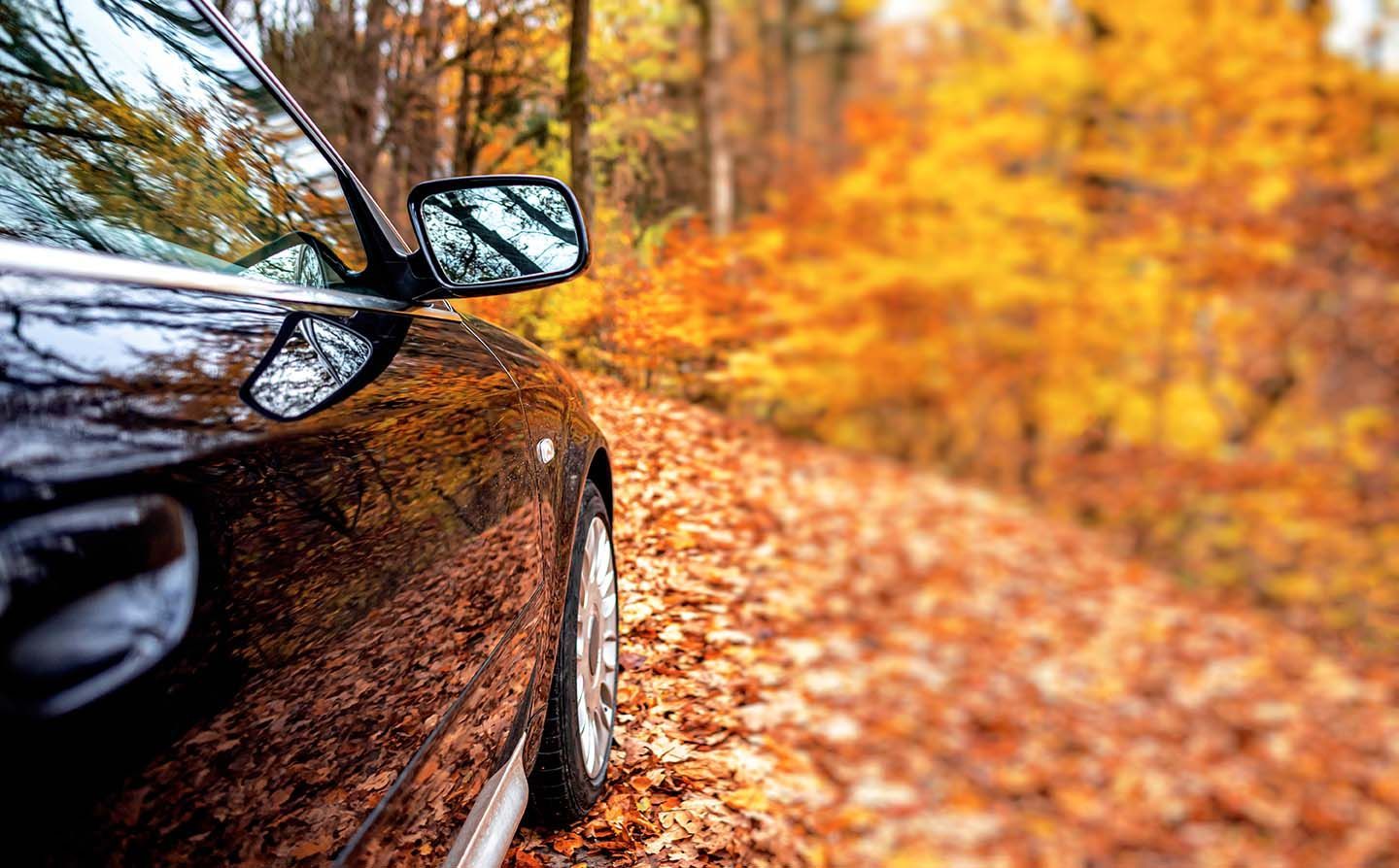 Car is driving on a road during fall after maintenance at Dr Jack’s Auto Repair in Merrick NY