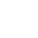 Delivery Service Icon