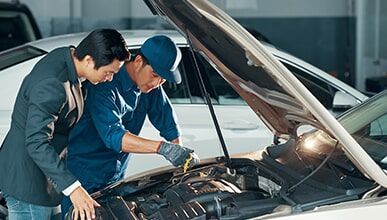 Car Inspection — Bockman Batteries in Albury, NSW