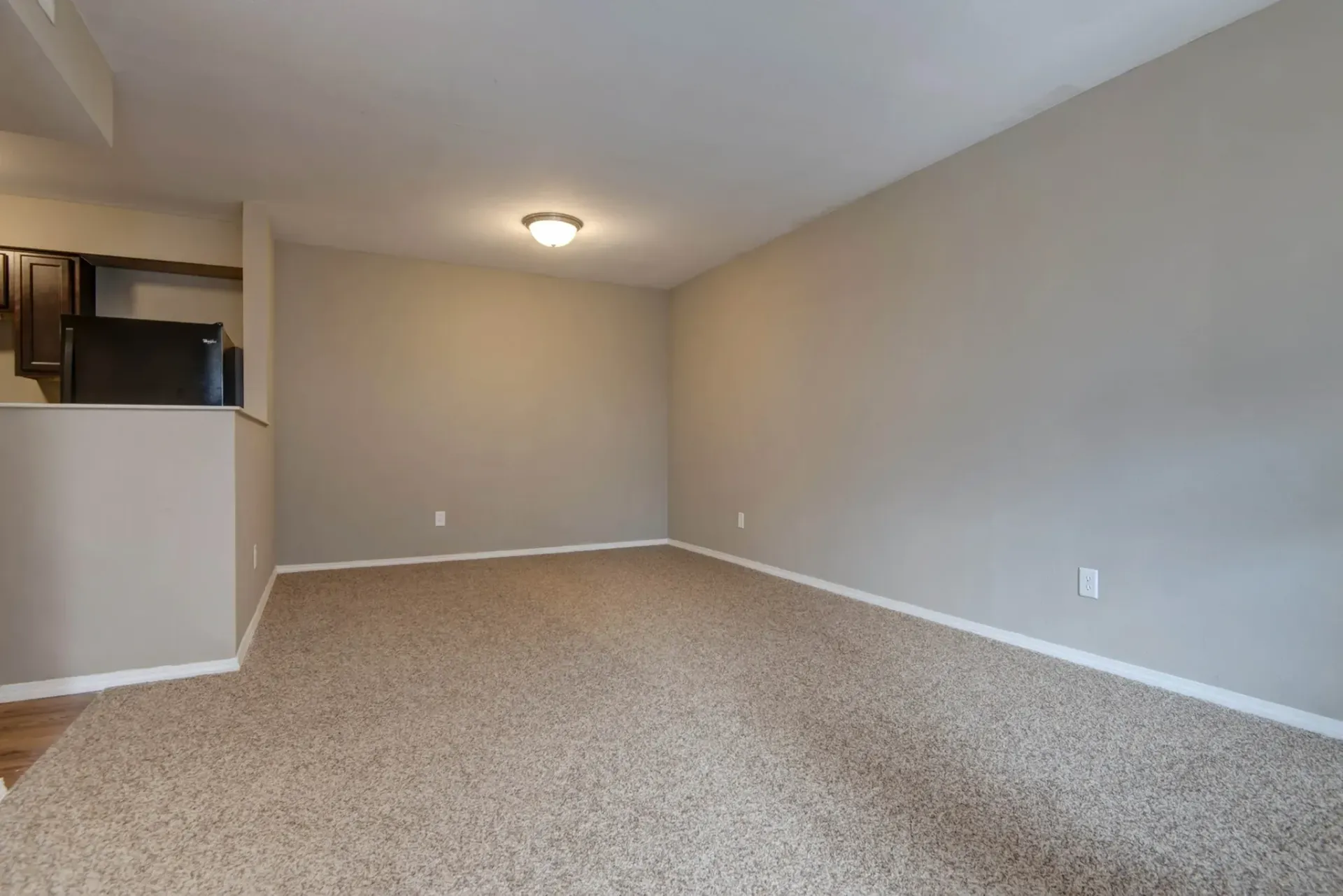 Photo of a carpeted living room