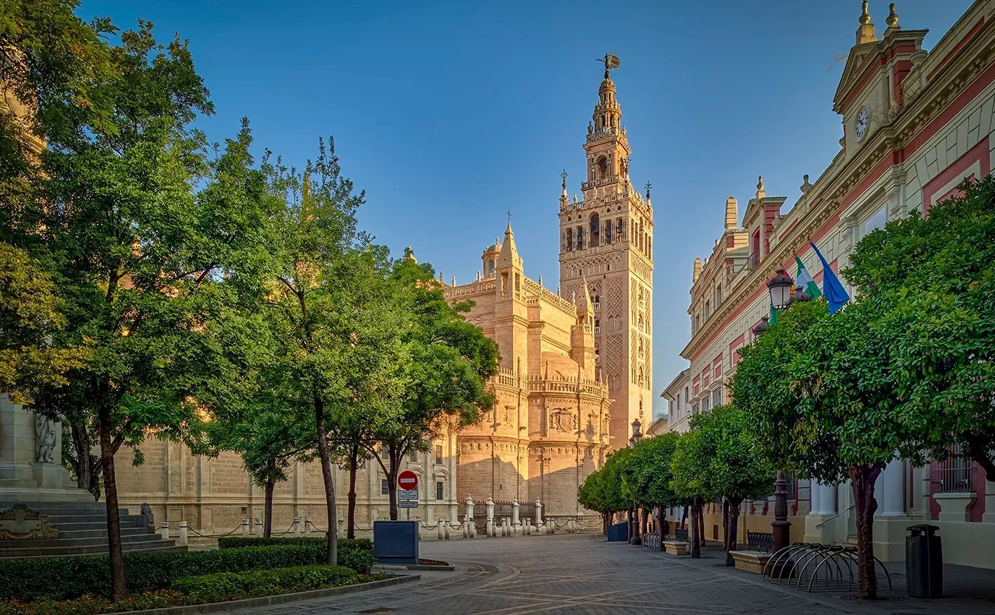 Seville Cathedral, Spain, seen from a tree-lined street with the Giralda bell tower in the background on a sunny day.
