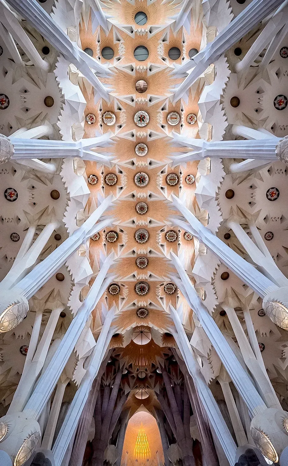Intricate ceiling of the Sagrada Familia basilica, featuring white columns and ornate, floral-like designs.