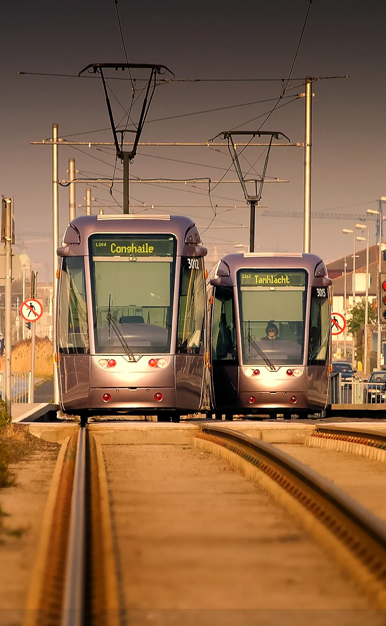 Two purple trams travel on parallel tracks, under overhead wires. Sunny, outdoor setting.