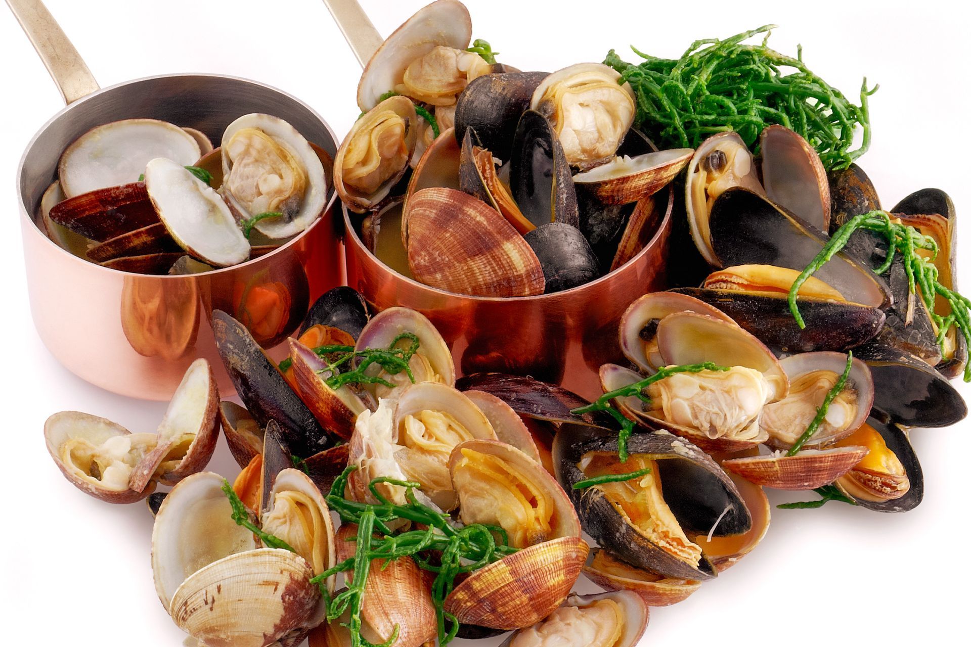 Clams and mussels in copper pots, with fresh green herbs.