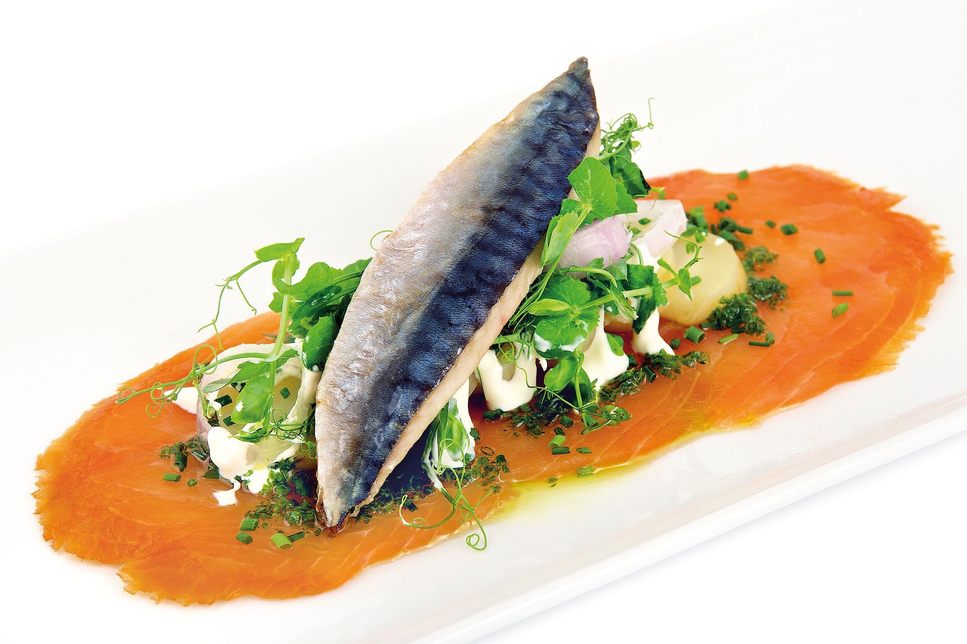 Smoked fish appetizer on a white plate with greens and sauce.