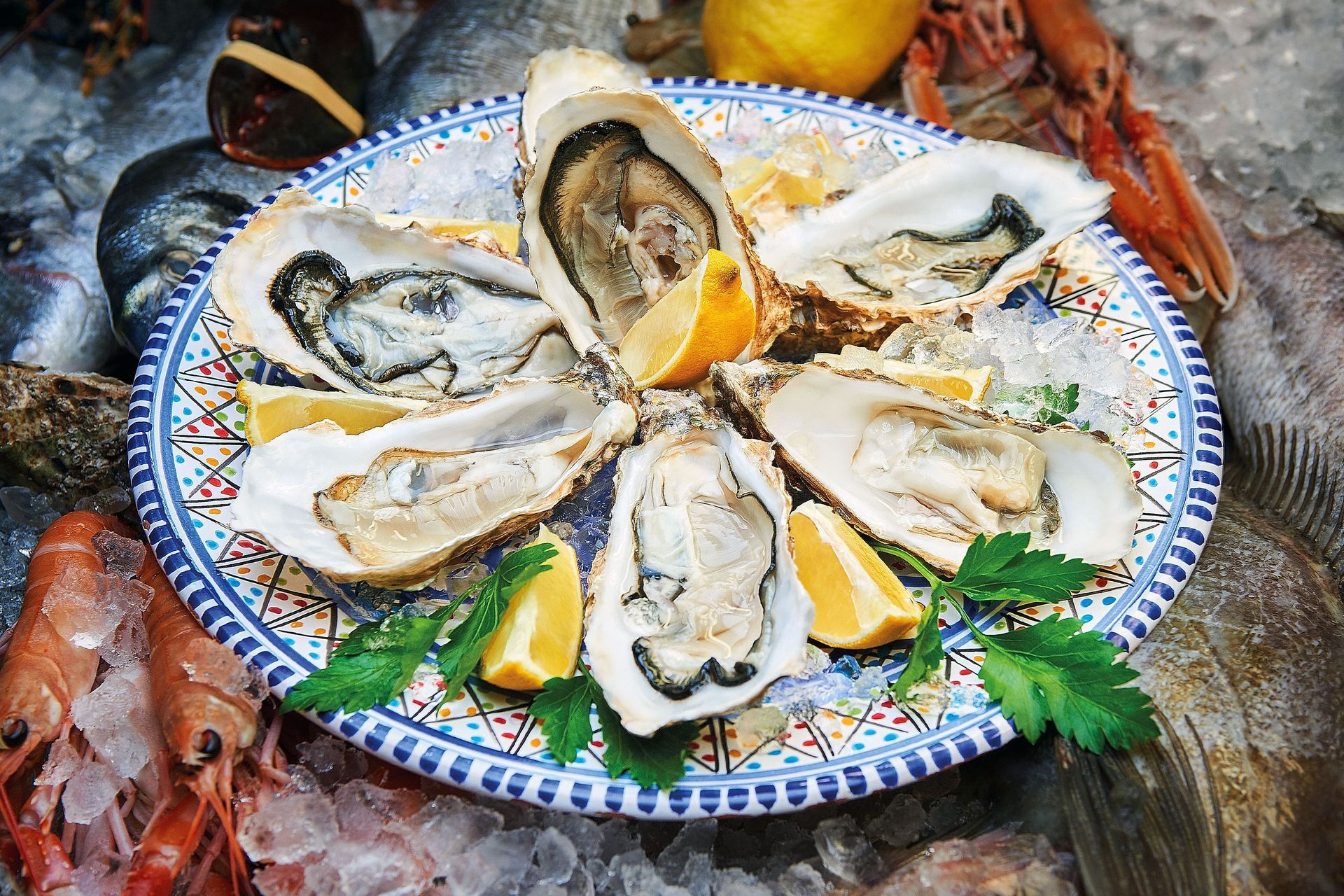 Plate of oysters on ice with lemon wedges and parsley.