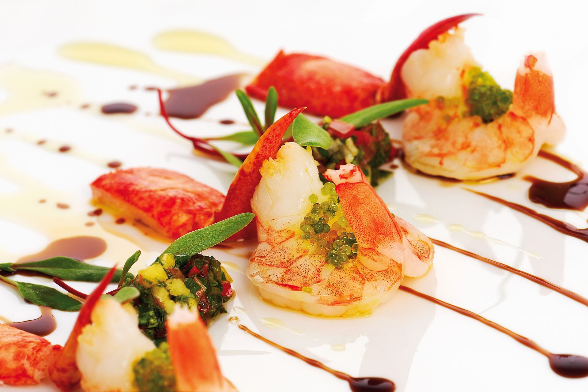 Lobster and shrimp dish drizzled with sauce on a white plate.