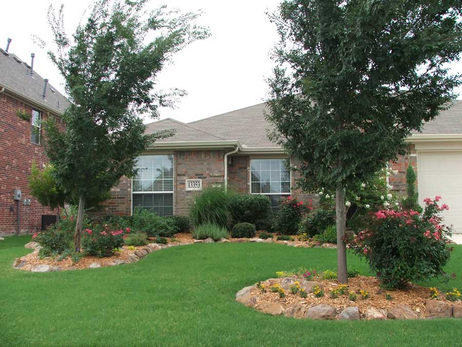 Lush green lawn with a tree surrounded by rocks