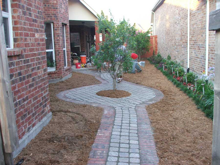Paved walkway with mulch on either side and a tree in the middle