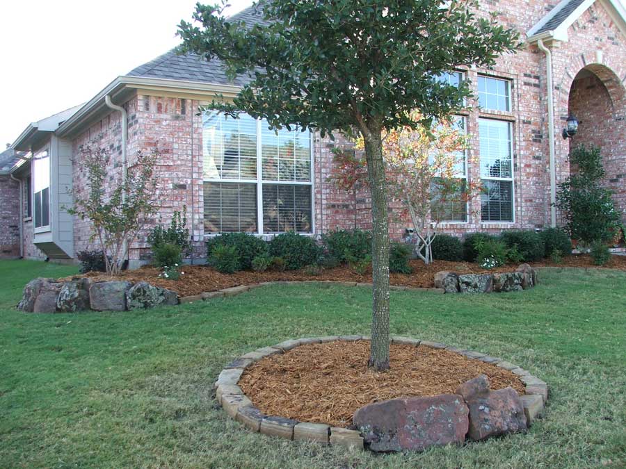 Tree in the middle of mulch amid a landscaped lawn