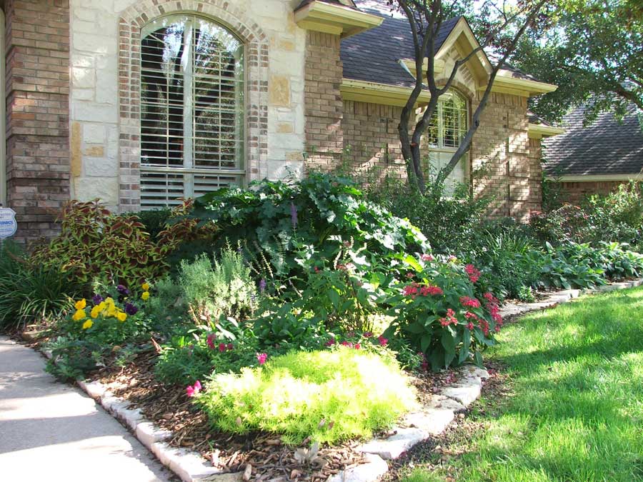 Landscaped garden with big bushes