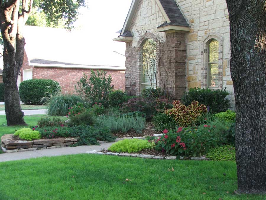 Lush green garden next to a garden with big bushes