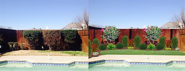 Before and after photo of landscaping next to a pool
