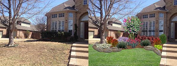 Before and after photo of front lawn landscaping