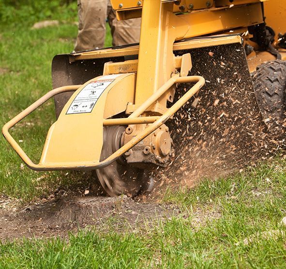 Stump Removal