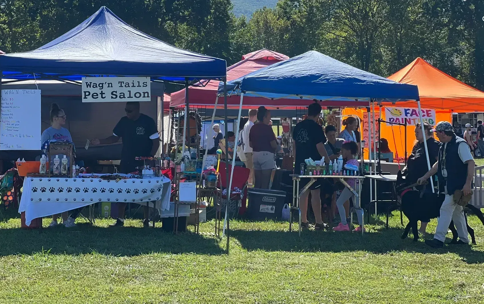 Outdoor festival with vendor booths under colorful tents; people browse and shop on a sunny day.