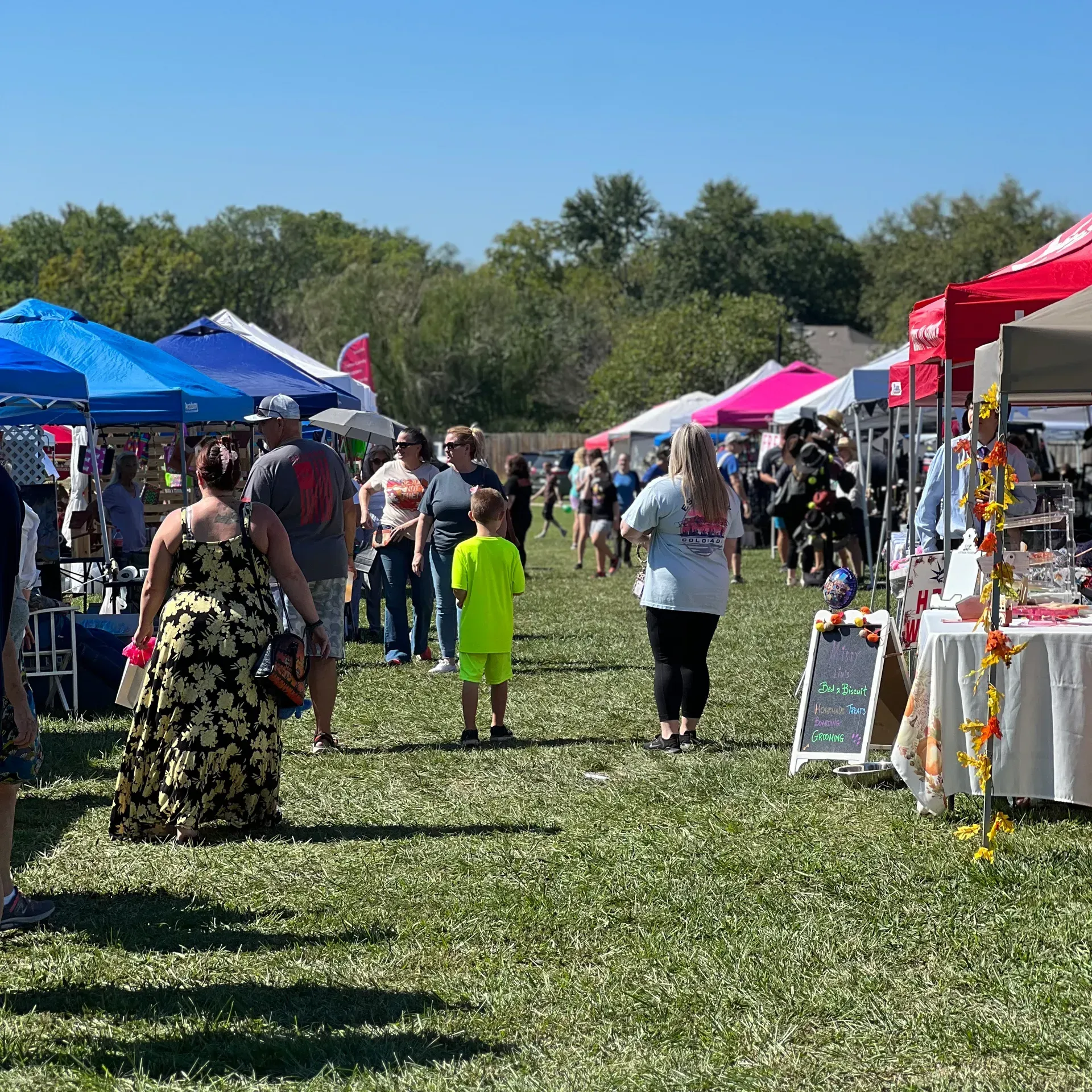 Outdoor craft fair with vendor tents, people browsing, sunny day.