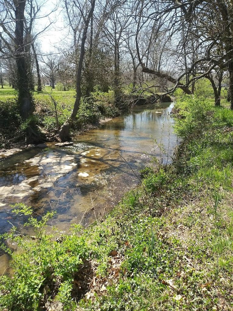 A shallow, clear stream flows through a green, grassy area with trees on either side.