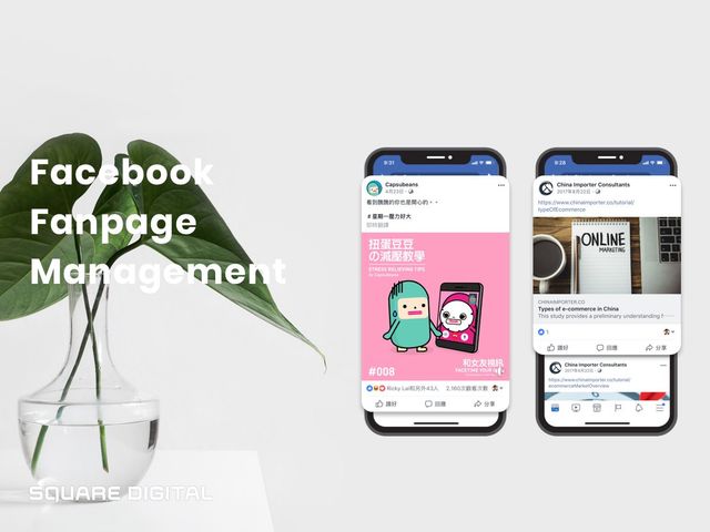 Case Study: Managing a Facebook Fan Page for an E-Commerce Brand