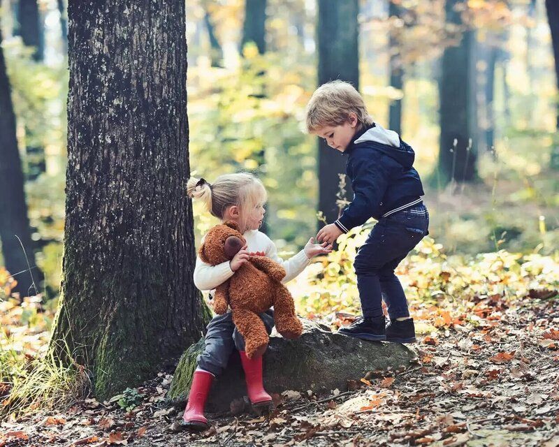 Wills, Trust & Assets