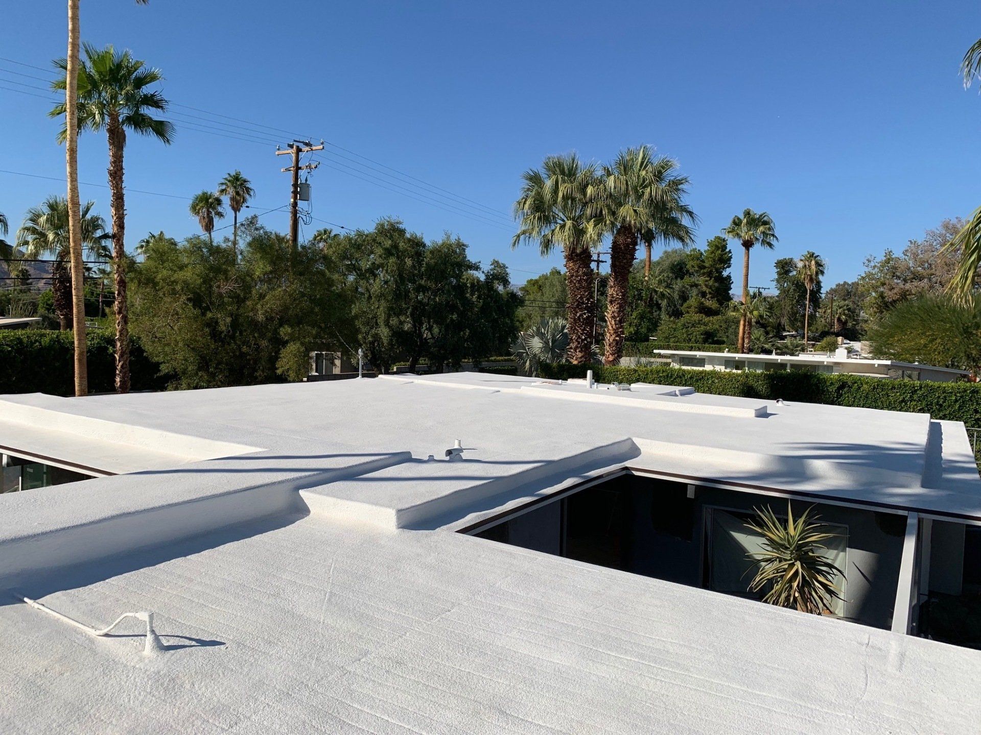 White flat roof with palm trees in the background on a sunny day.