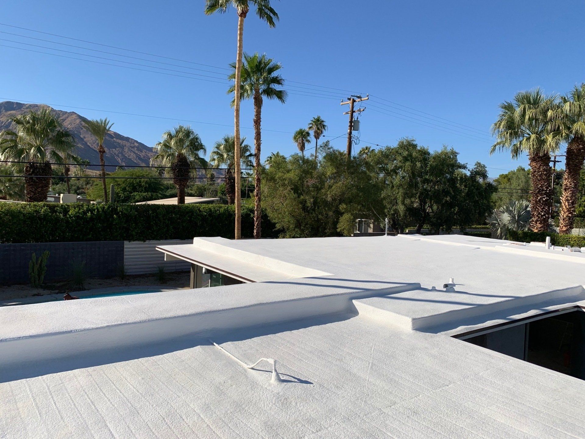A white, flat roof with low walls, palm trees, and mountains in the background under a clear blue sky.