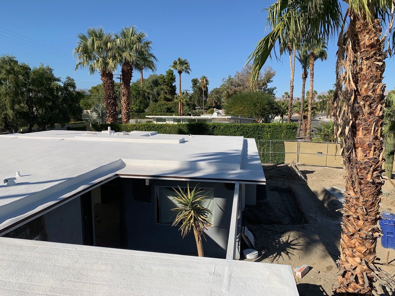 View from a rooftop of a low-slung building, with white roof, palm trees, and blue sky in a sunny, desert-like environment.
