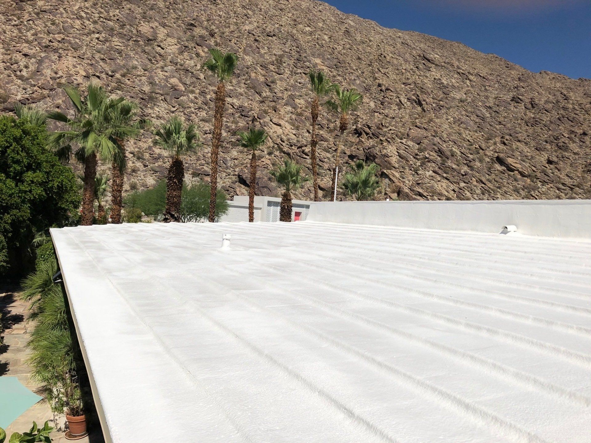 White flat roof with textured surface, palm trees, and a rocky mountain backdrop in bright sunlight.