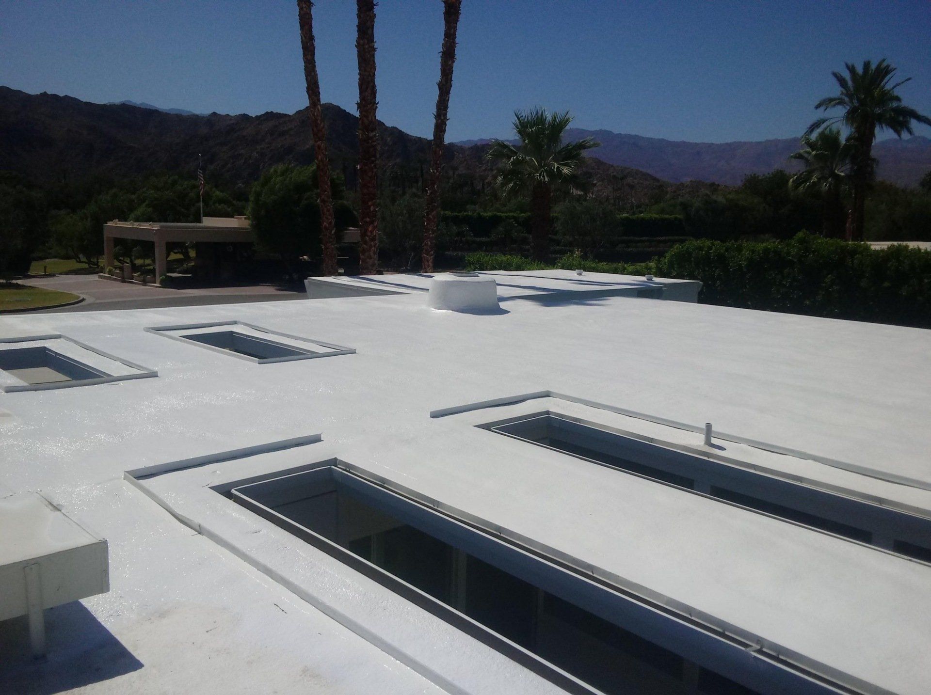 White flat roof with rectangular skylights, surrounded by palm trees and mountains under a bright blue sky.