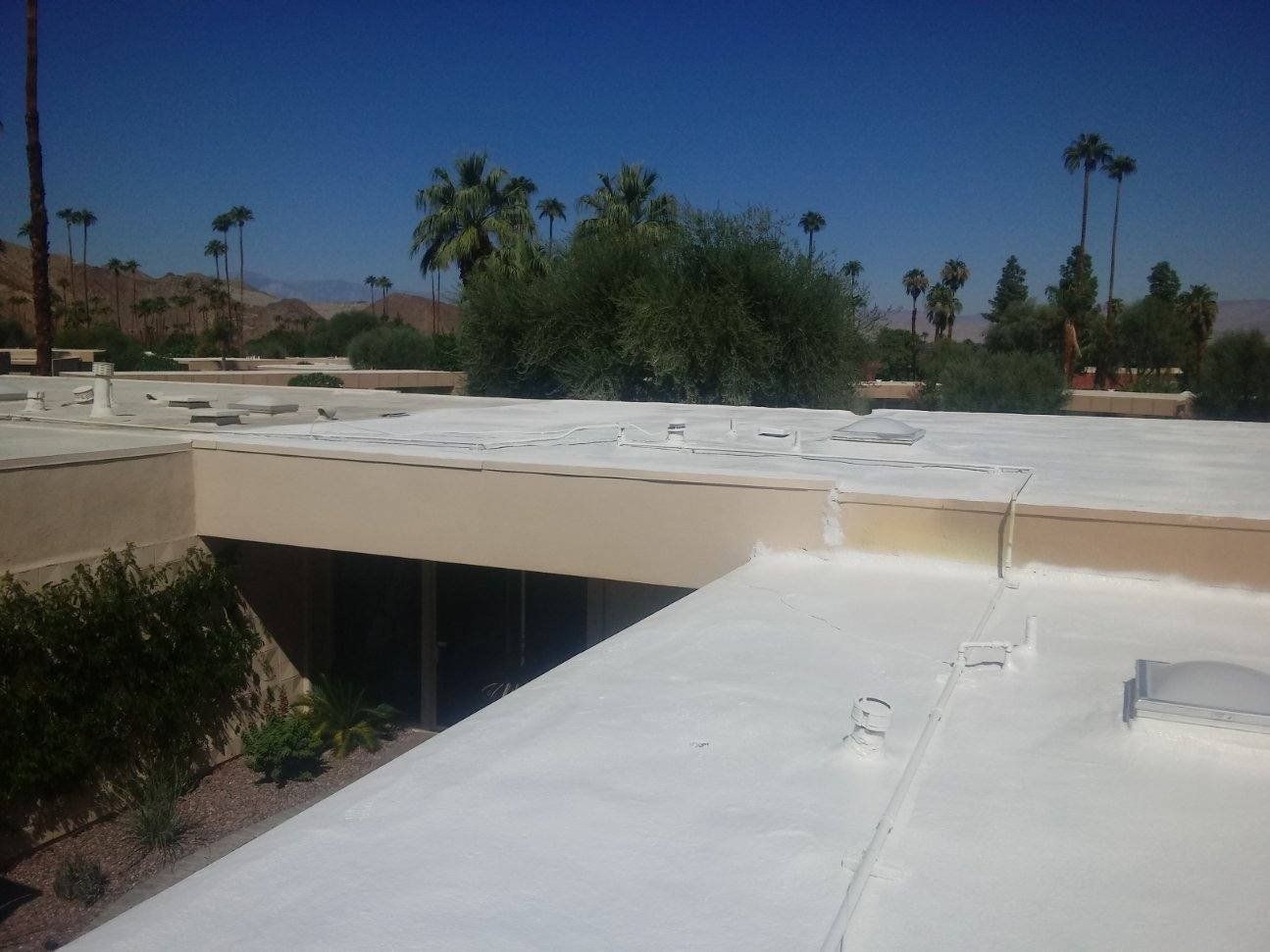Flat white roof with bushes, palm trees, and a building on a sunny day.