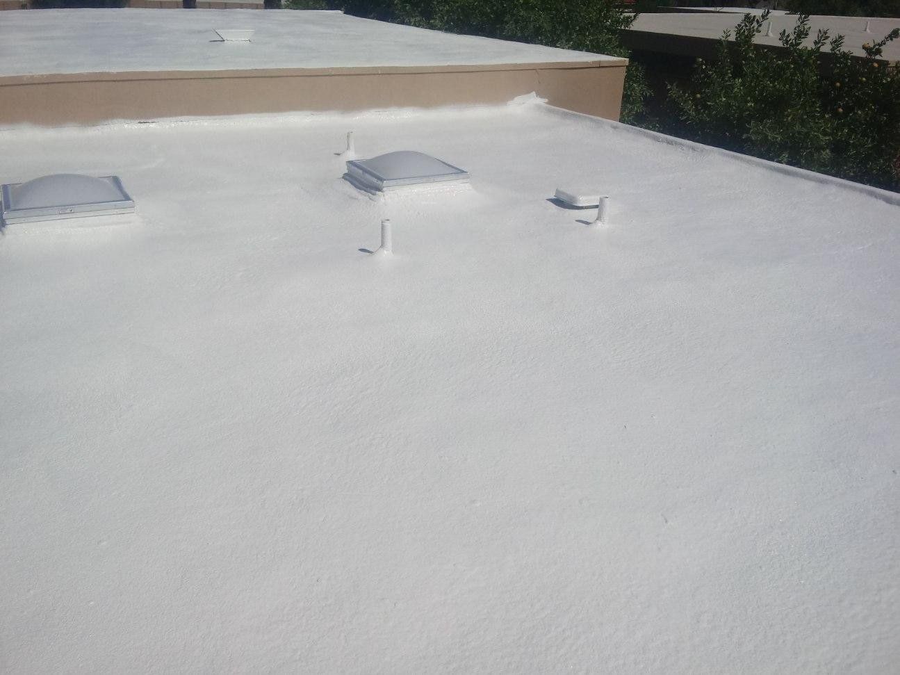 White roof with skylights, reflecting bright sunlight. Building is adjacent to green bushes.
