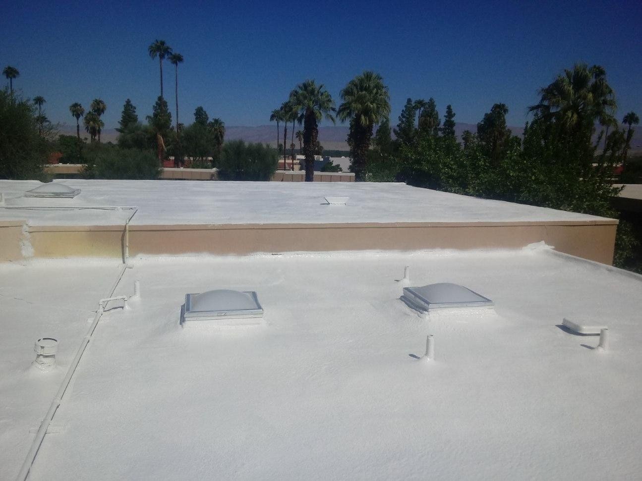White coated flat roof with skylights, surrounded by trees under a clear blue sky.