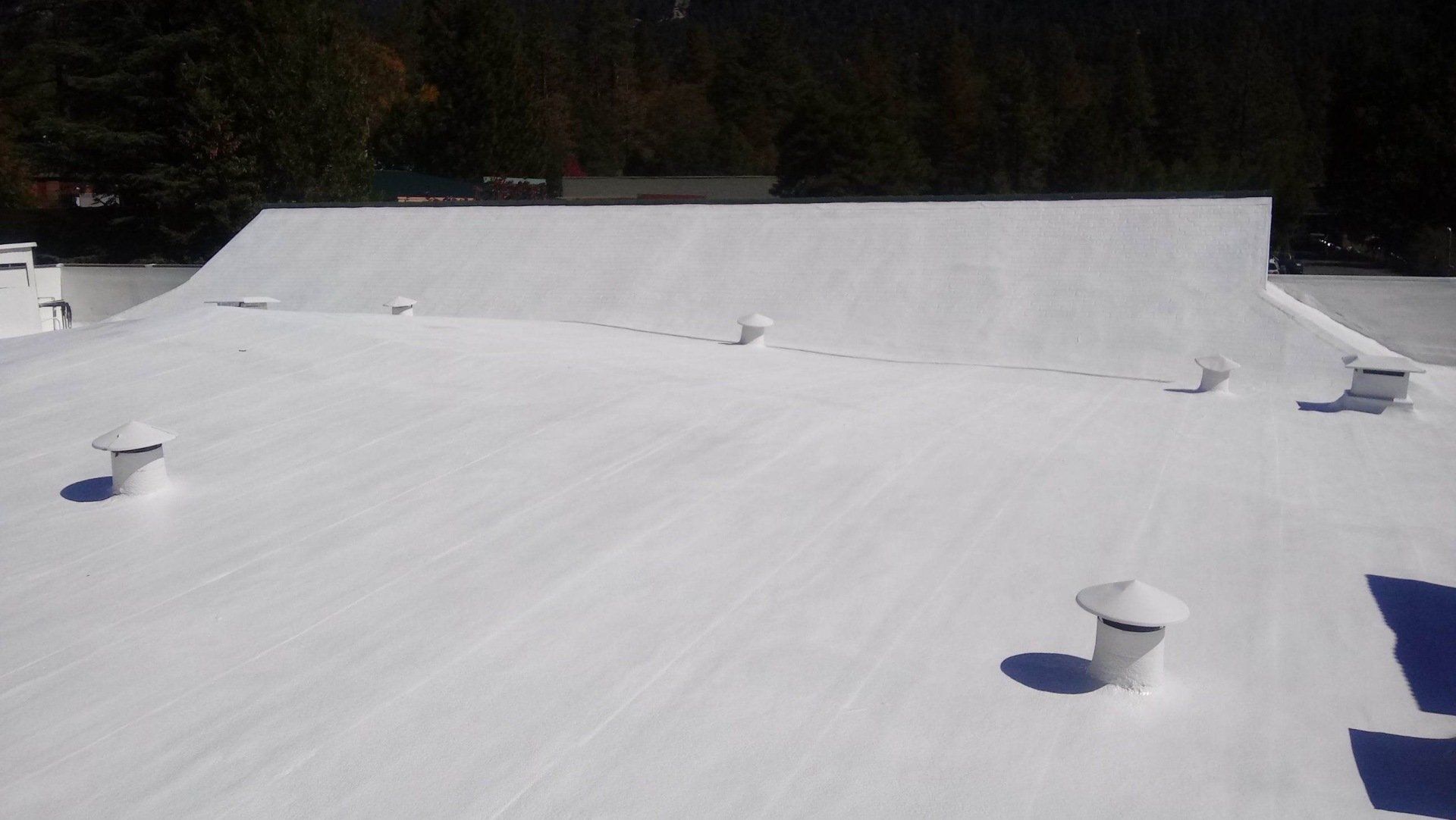 White roof of a building with several vents and a line of trees in the background.