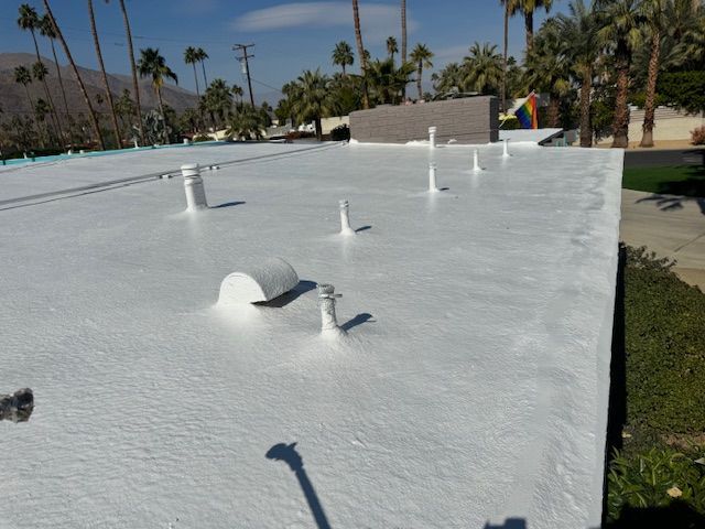 White flat roof with several white vent pipes, under a sunny, palm tree-lined sky.