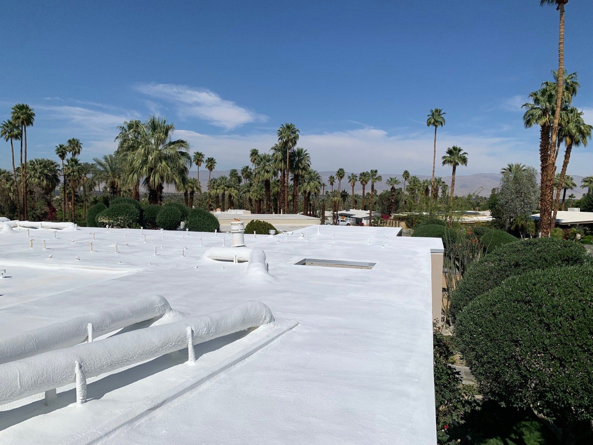 A white, flat roof with a coating, against a backdrop of palm trees and blue sky.