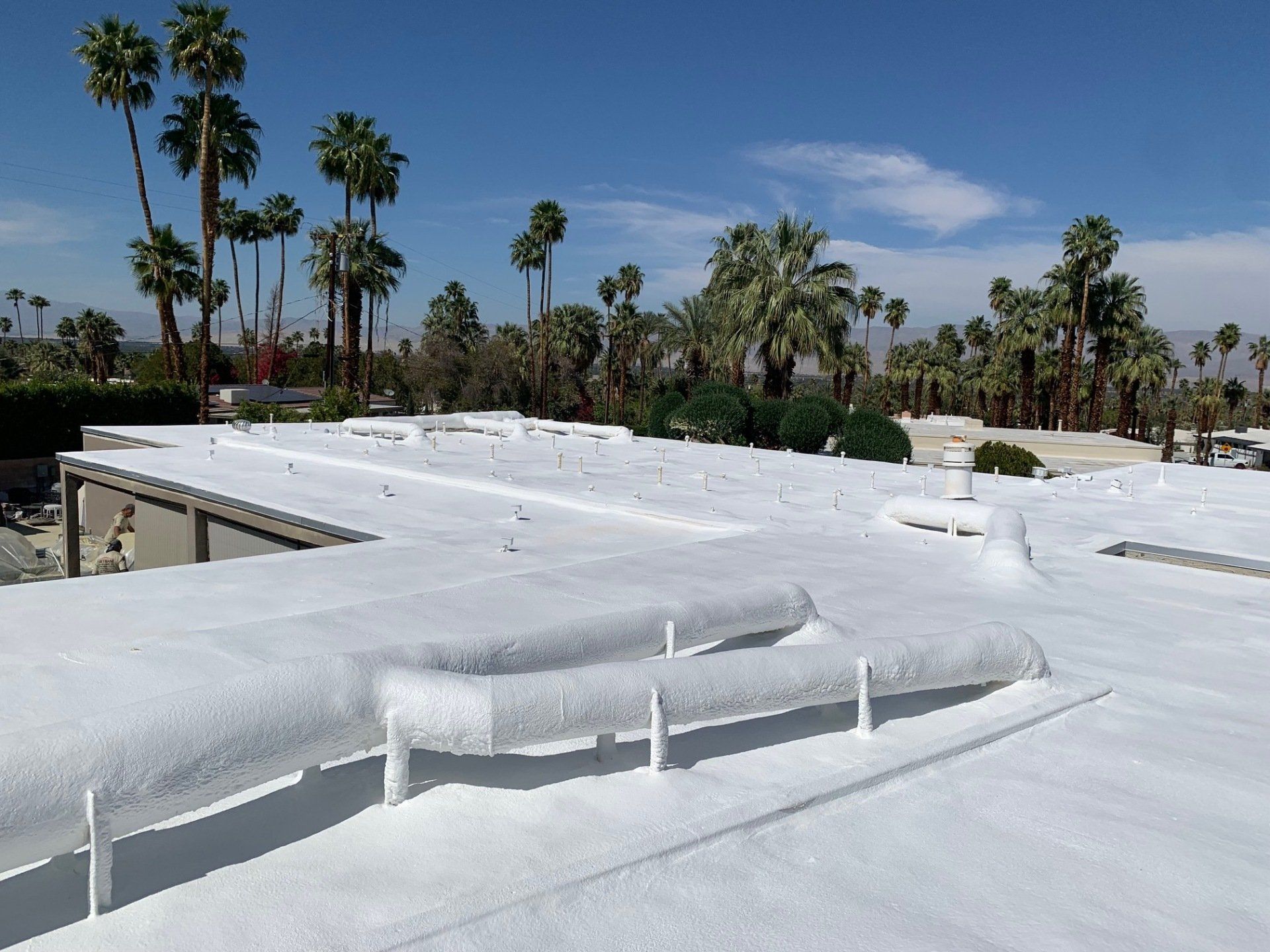 White-coated flat roof with multiple vents, metal railings, and palm trees in the background under a blue sky.