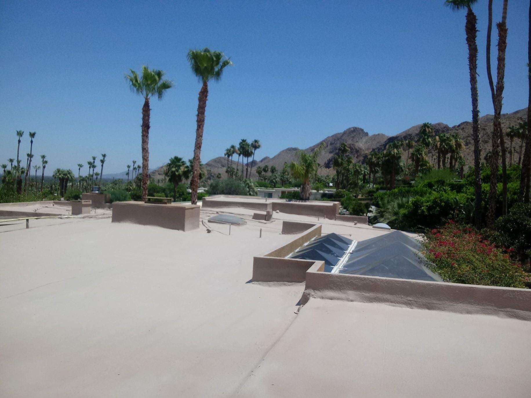 Rooftop patio with palm trees and desert landscape in the background under a blue sky.