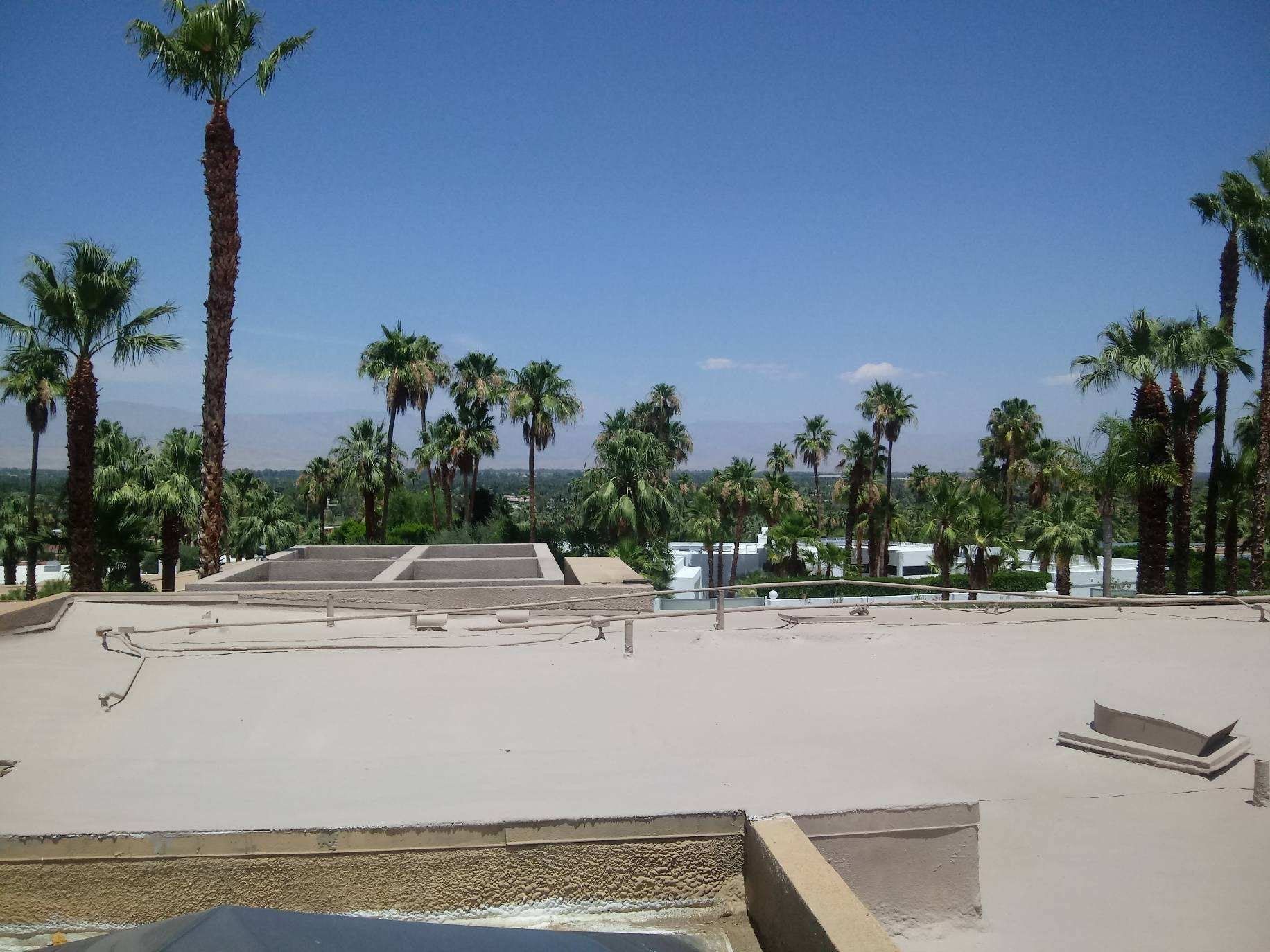 View of a rooftop overlooking a grove of palm trees against a blue sky. The roof is light-colored and appears to be under construction.