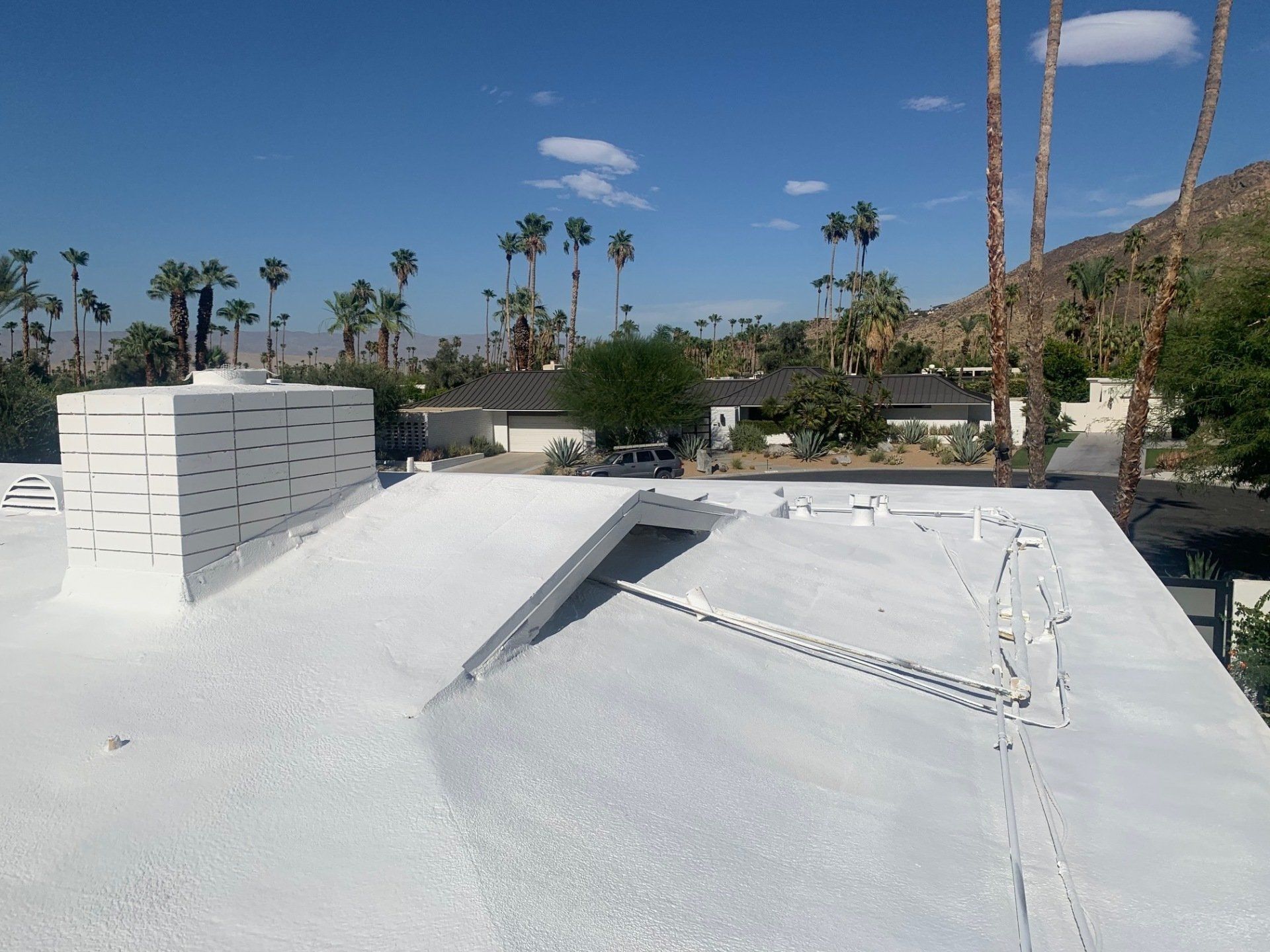 A white roof with a chimney, under a blue sky with palm trees in the background.