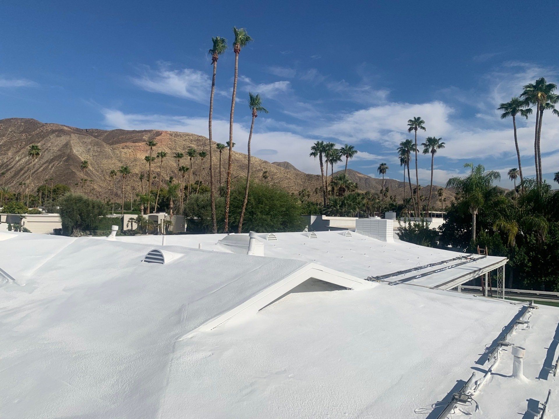 White rooftops with a mountain backdrop, palm trees, and blue sky.