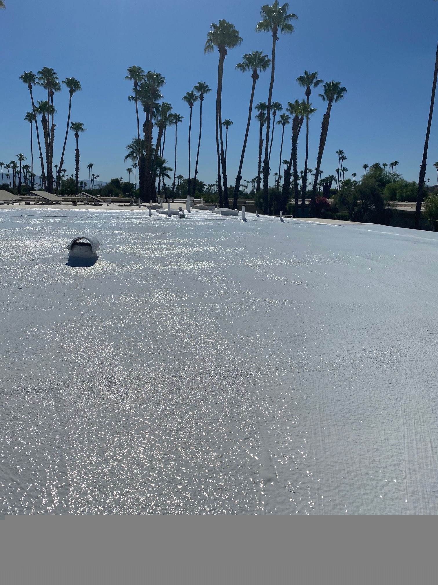 A blank, white image.