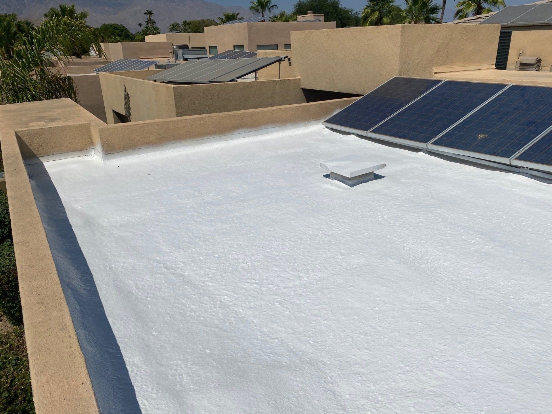 White-coated flat roof with solar panels and a skylight; residential setting with tan buildings and palm trees.