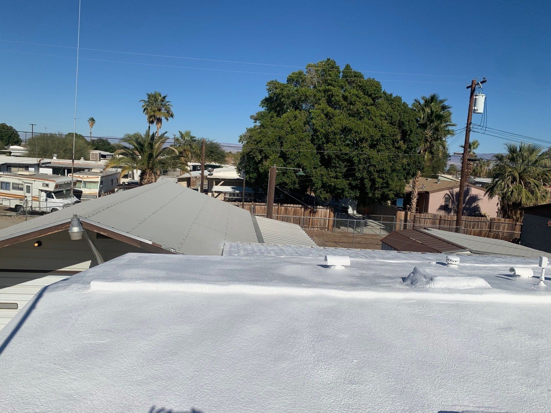 Overhead view of buildings with flat, white-coated roofs; a large green tree dominates the background under a clear, blue sky.