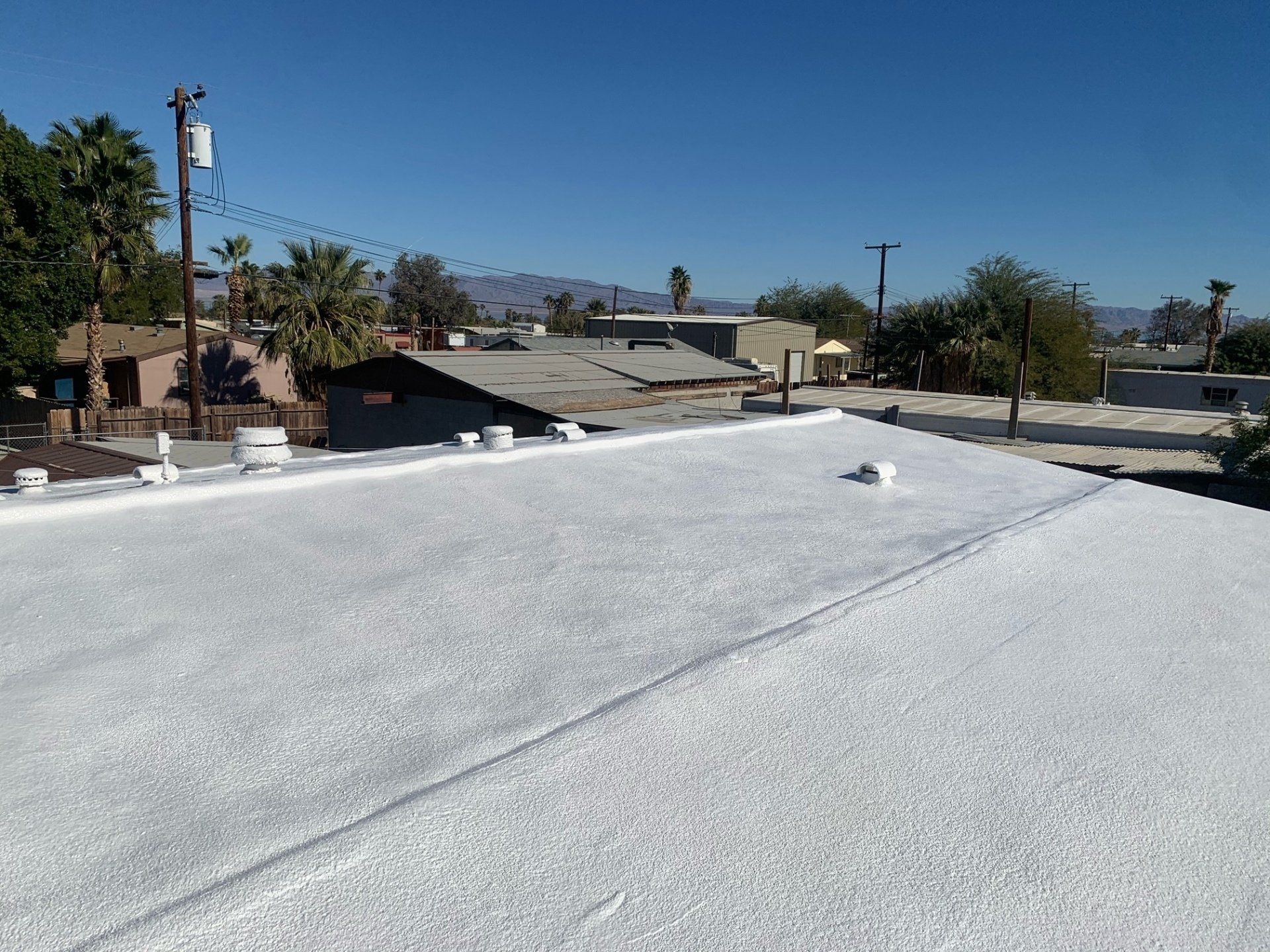 A white roof, possibly coated, with buildings and palm trees in the background under a clear, blue sky.