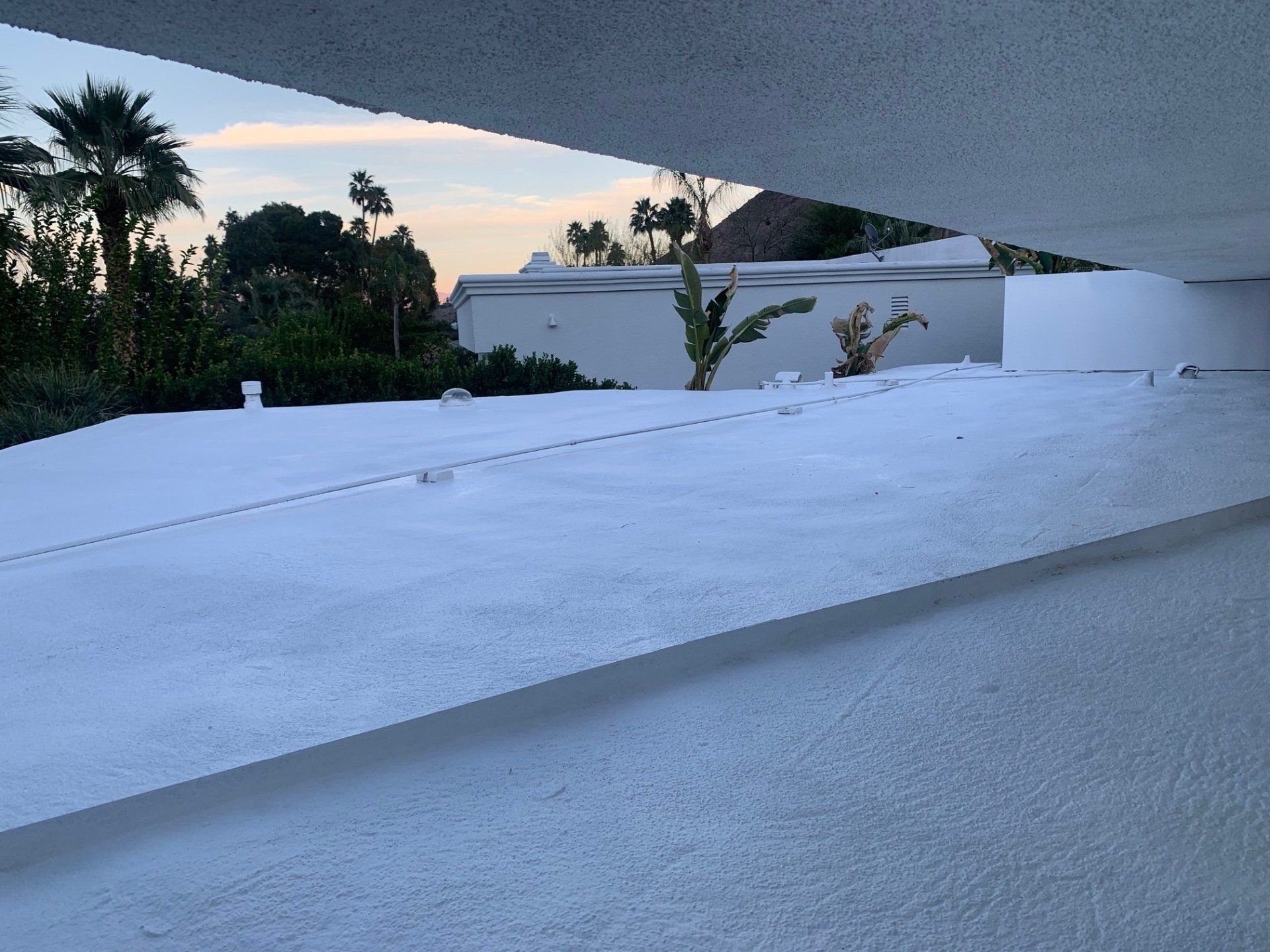 View from a balcony onto a white rooftop with a clear sky in the background, featuring palm trees.
